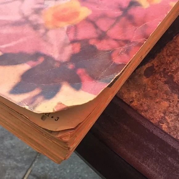 Spiegel 1954 Pink Catalog - Picture 13 of 14